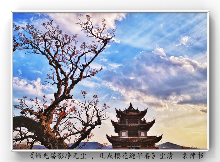 025《佛光塔影凈無塵 ，幾點櫻花迎早春》.jpg